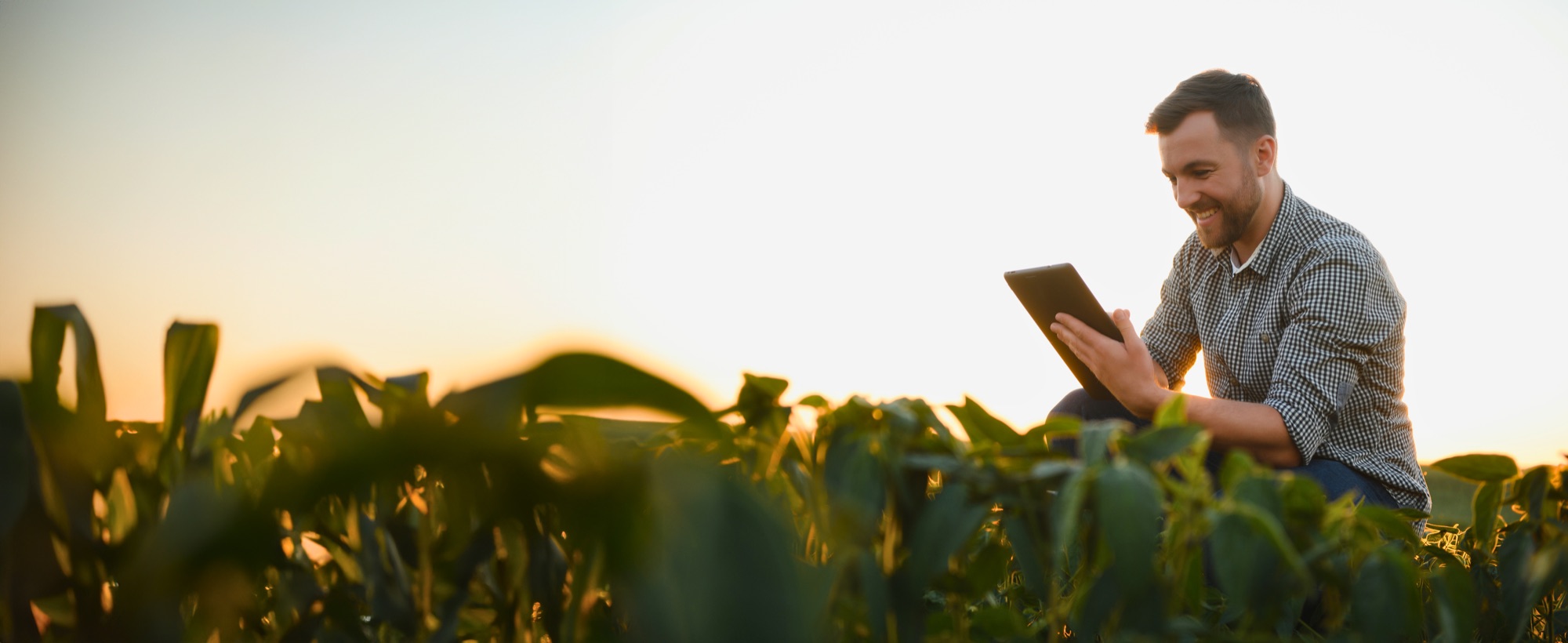 Farmer using a tablet in the field