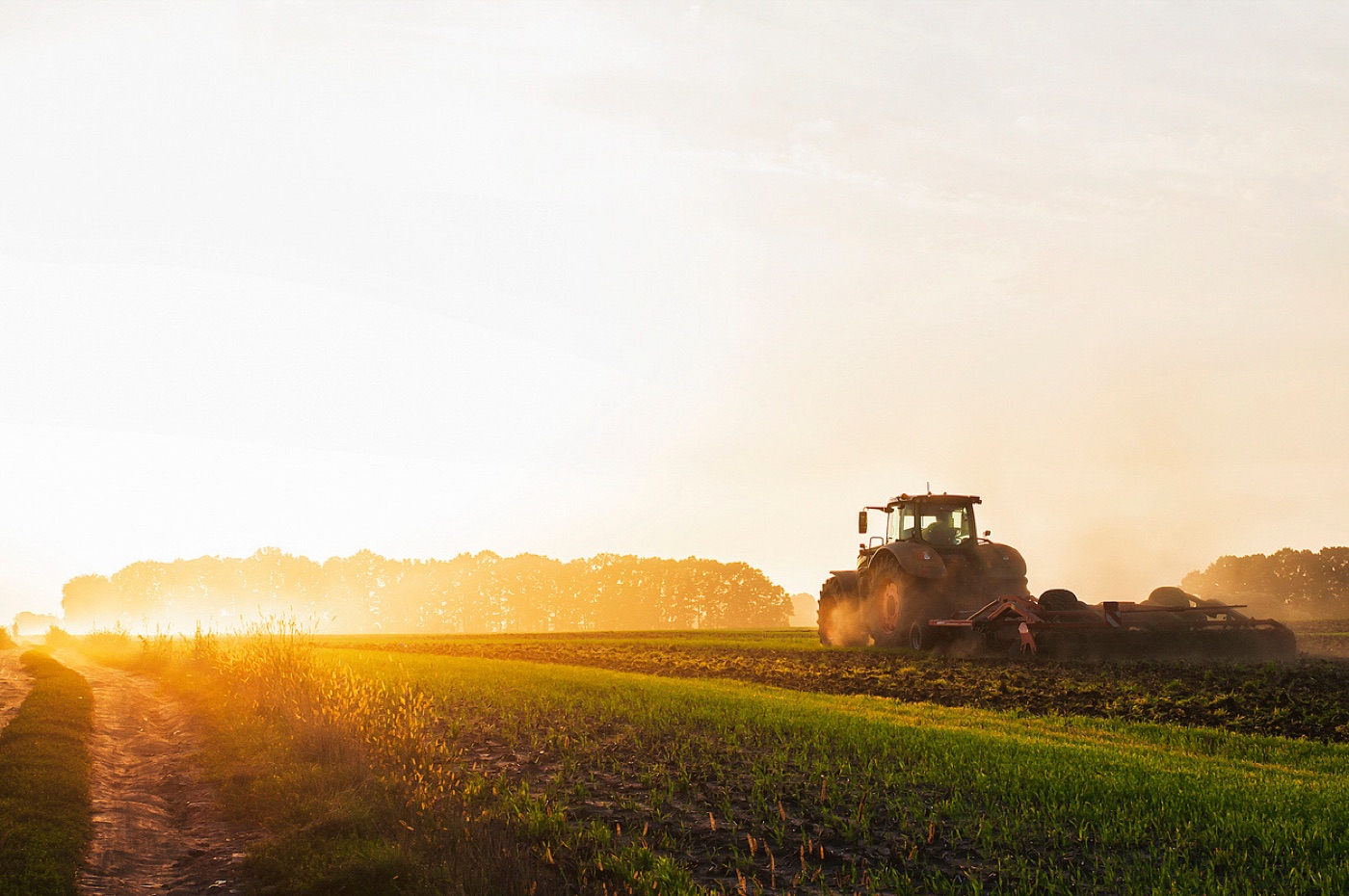 A tractor working a Kansas field at golden hour